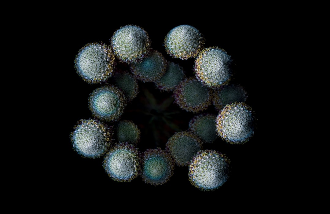 Photo Fingerprint scanner