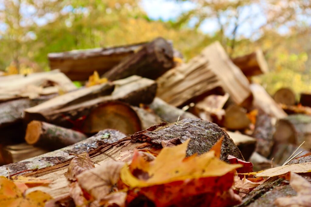 Photo ecological fuels